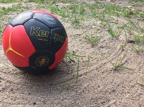 爱游戏体育官方入口-全国老年人健身球操赛展银发激情,老年健身球类