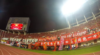 aiyouxi-“运动舞蹈:金牛区城北体育馆让你看到的不仅仅是舞蹈,更是灵魂与身体的交响”